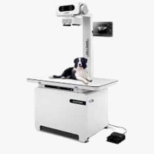 Sala RX Veterinaria
